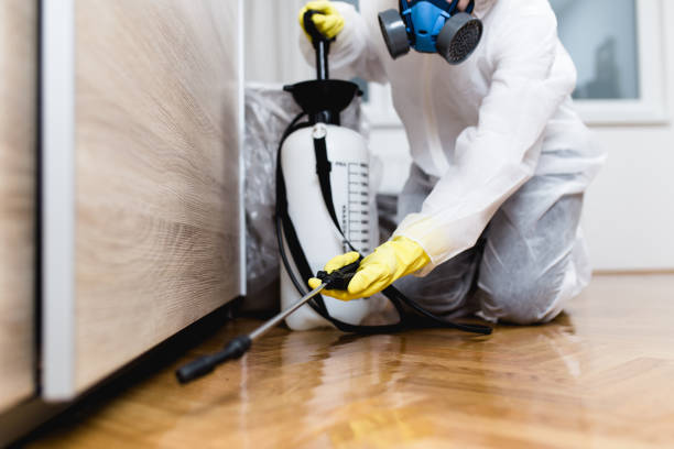 Best Flea Control Services  in Mandeville, LA