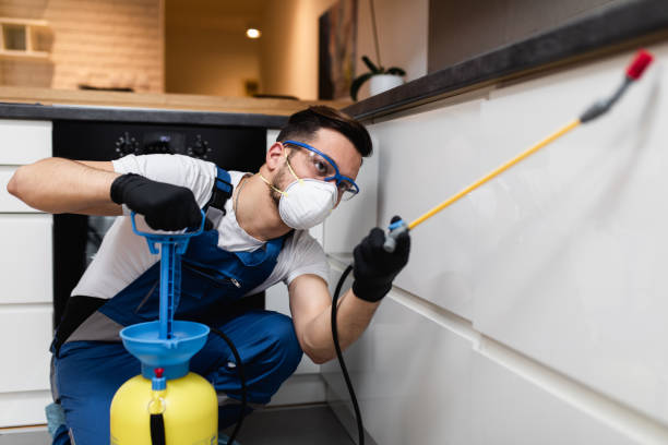 Best Best Pest Control Companies  in Mandeville, LA
