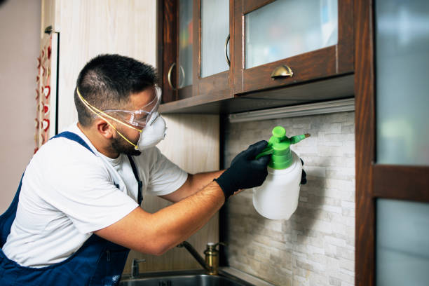 Best Best Pest Control Companies  in Mandeville, LA