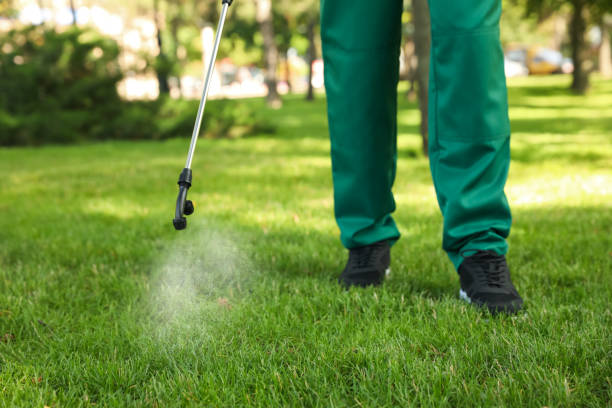 Best Mosquito Control Services  in Mandeville, LA