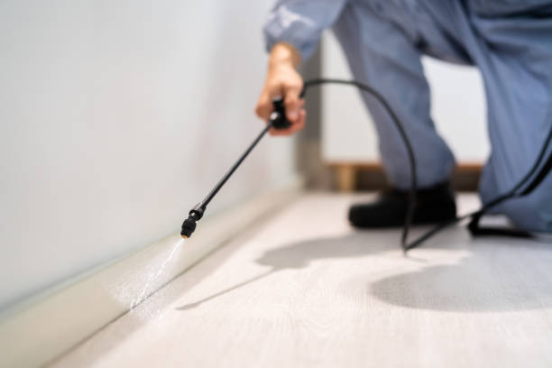 Professional Pest Control in Mandeville, LA