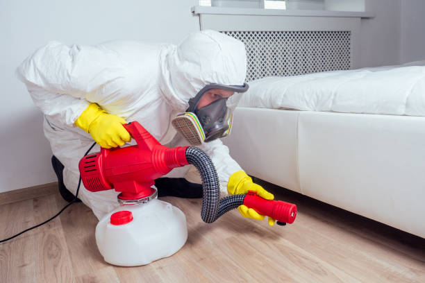 Insect Control in Mandeville, LA