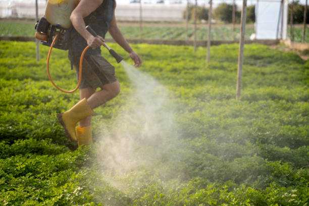 Best Pest Control Near Me in Mandeville, LA
