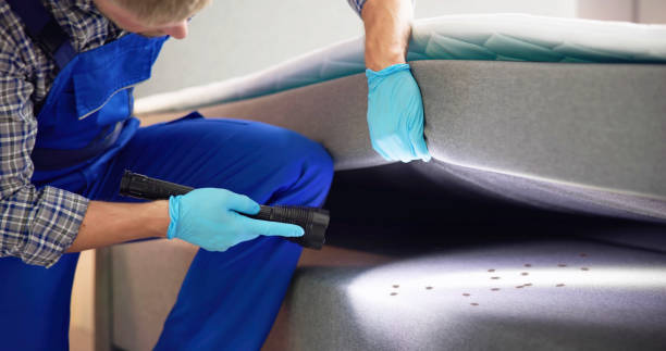 Best Termite Control Services  in Mandeville, LA