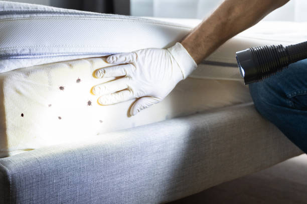Best Best Pest Control Companies  in Mandeville, LA
