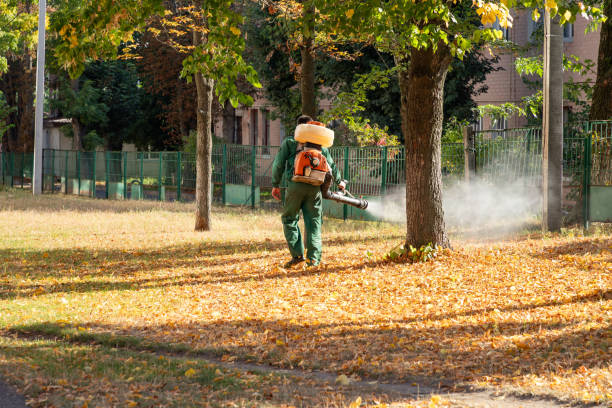 Best Termite Control Services  in Mandeville, LA