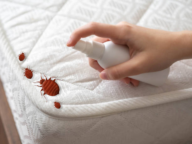 Trusted Mandeville, LA Pest Control Experts